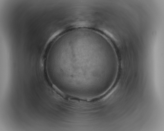X0000115321309200911091149