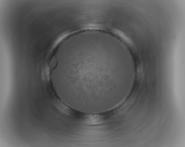 X0000115321310200911091149