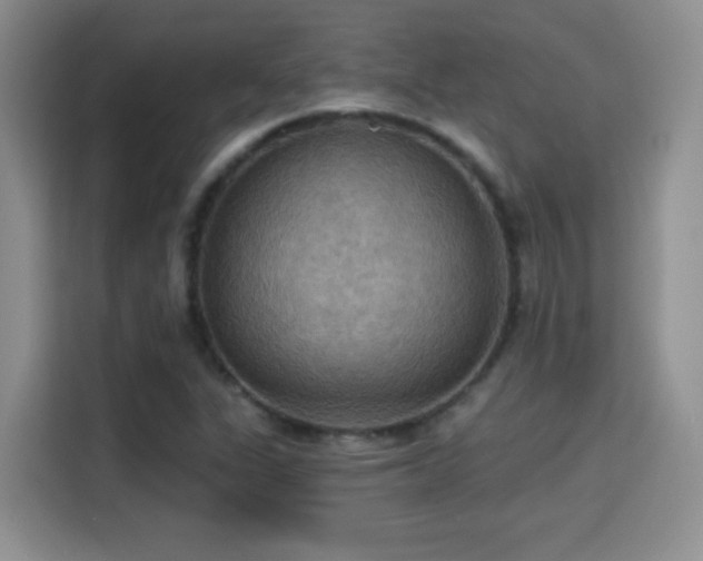 X0000115321311200911091149