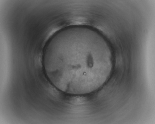 X0000115321314200911091149