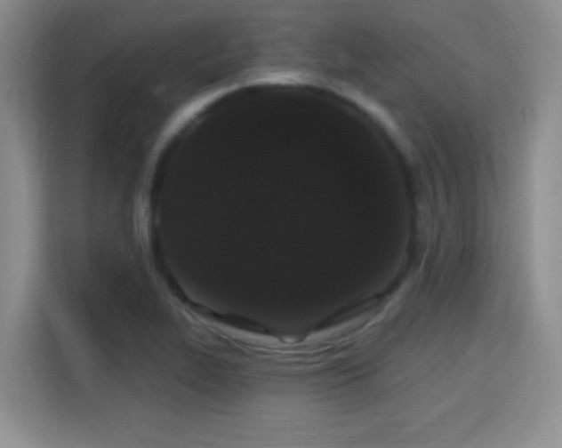 X0000115321319200911091149