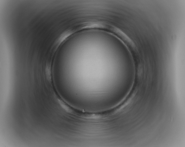 X0000115321321200911091149