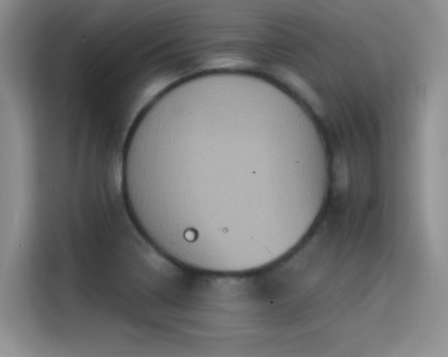 X0000115321322200911091149
