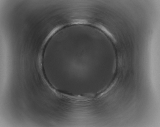 X0000115321325200911091149