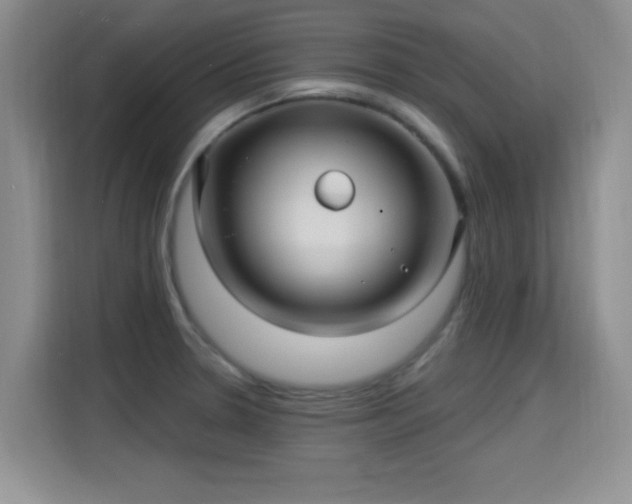 X0000115321330200911091149