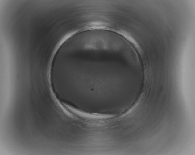 X0000115321333200911091149