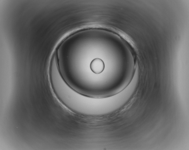 X0000115321334200911091149