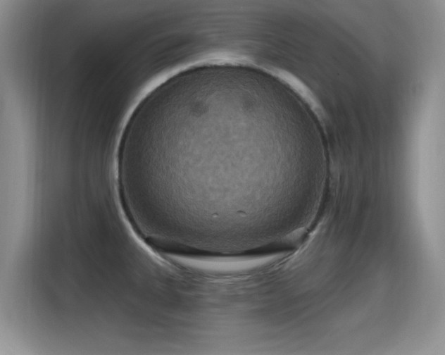 X0000115321335200911091149