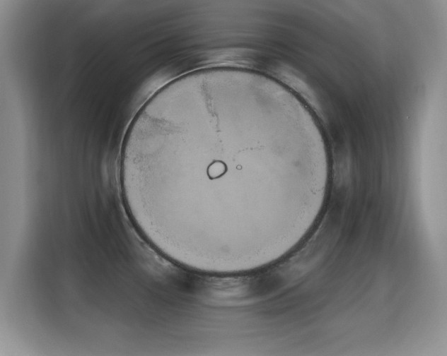 X0000115321338200911091149