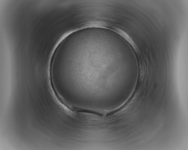 X0000115321339200911091149