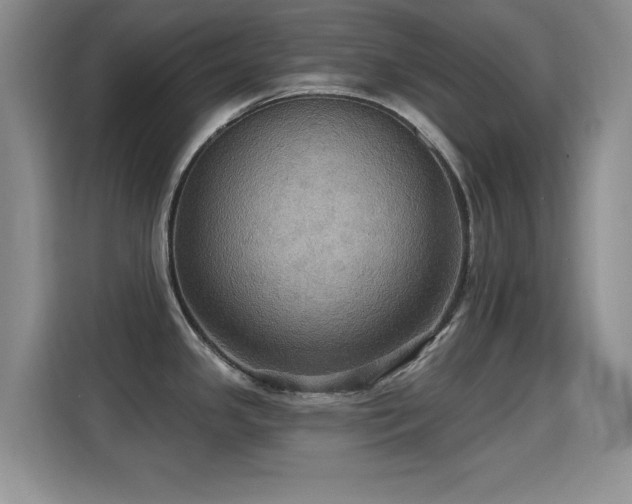 X0000115321341200911091149