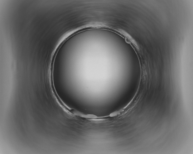 X0000115321343200911091149