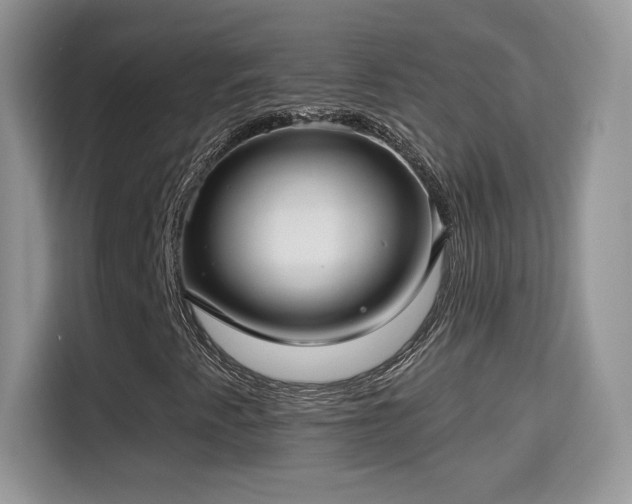 X0000115321345200911091149