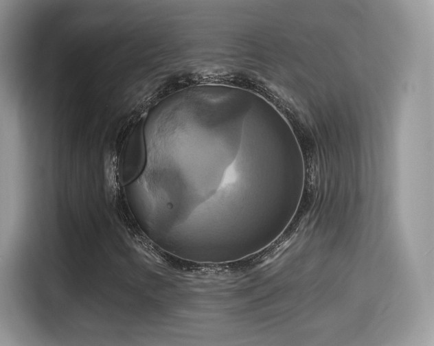 X0000115321346200911091149
