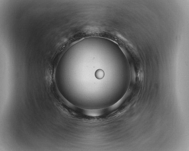 X0000115321348200911091149