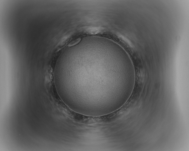 X0000115321349200911091149