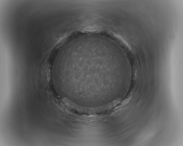 X0000115321350200911091149