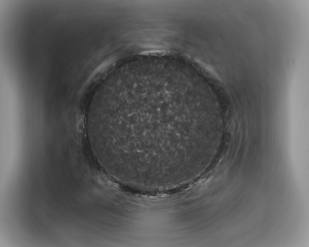 X0000115321351200911091148