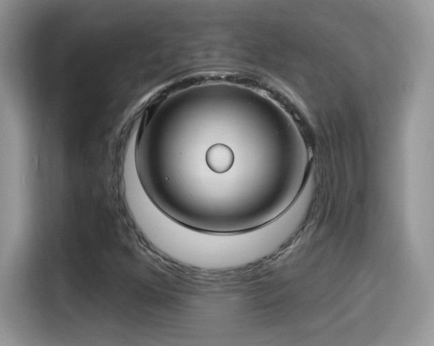 X0000115321352200911091148