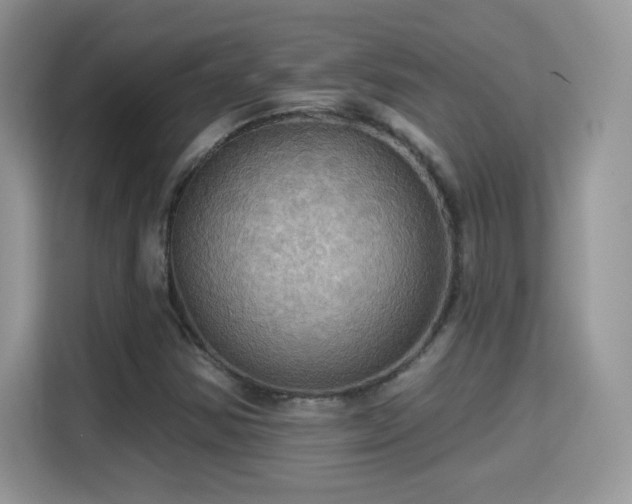 X0000115321354200911091148