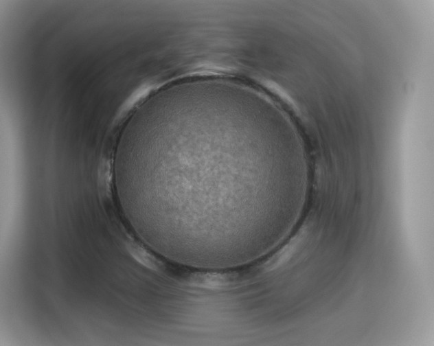 X0000115321355200911091148