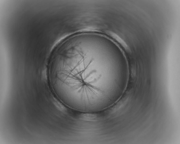X0000115321356200911091148