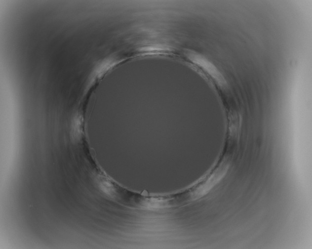 X0000115321357200911091148