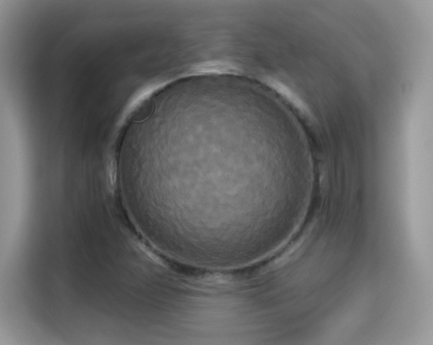 X0000115321358200911091148