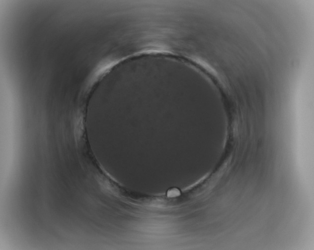 X0000115321359200911091148
