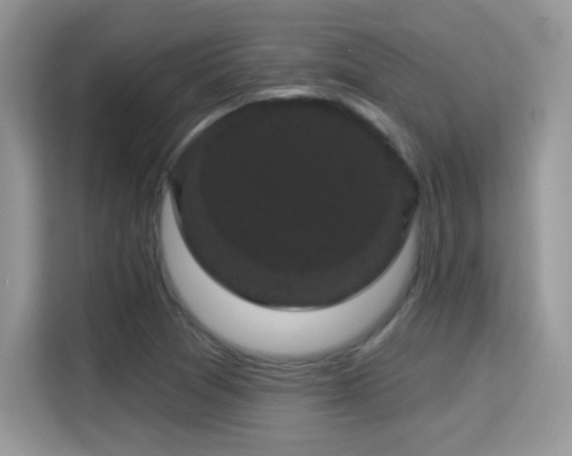 X0000115321361200911091148