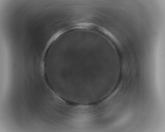 X0000115321362200911091148
