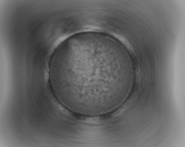X0000115321363200911091148