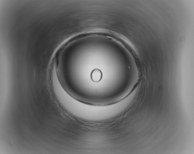 X0000115321364200911091148