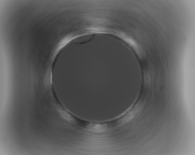 X0000115321365200911091148