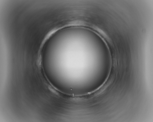 X0000115321366200911091148