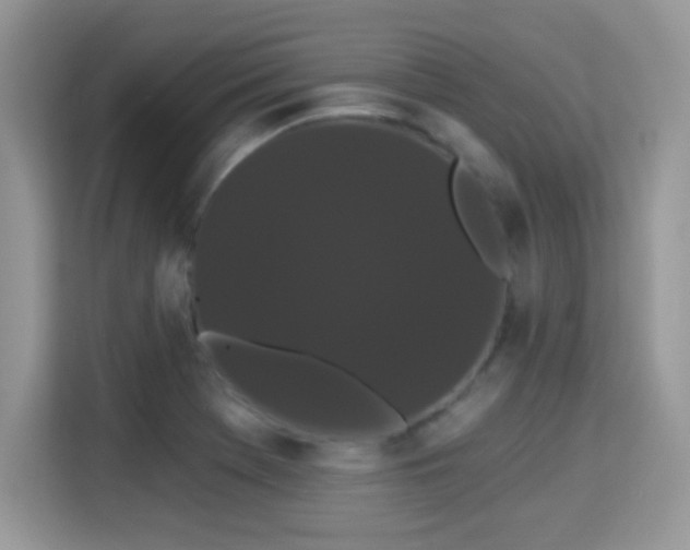X0000115321369200911091148
