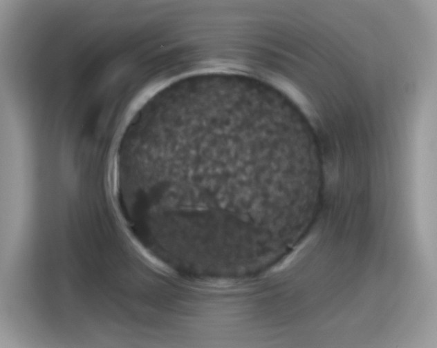 X0000115321371200911091148