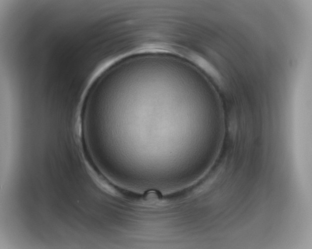 X0000115321372200911091148