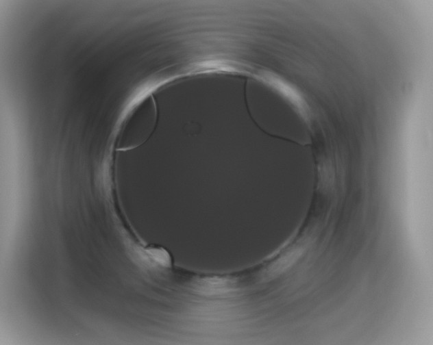 X0000115321373200911091148