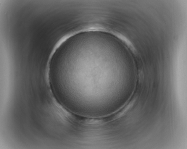 X0000115321374200911091148