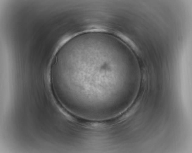X0000115321375200911091148