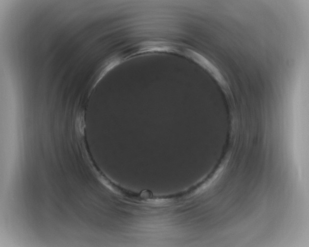 X0000115321377200911091148