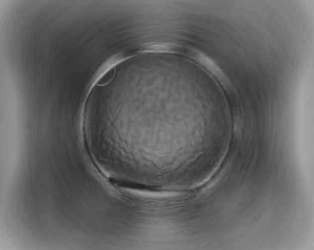 X0000115321378200911091148