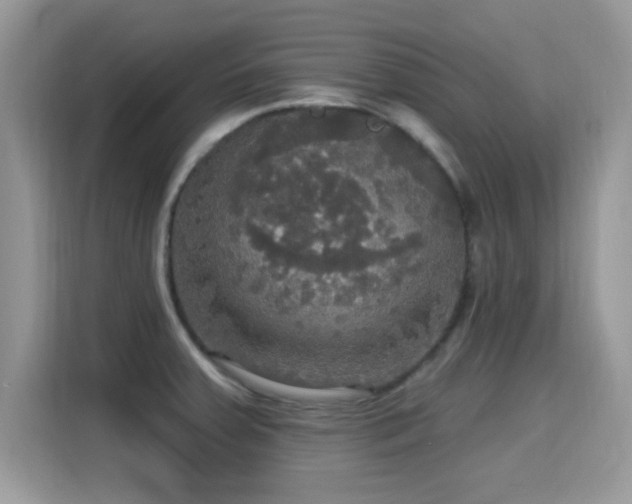 X0000115321379200911091148