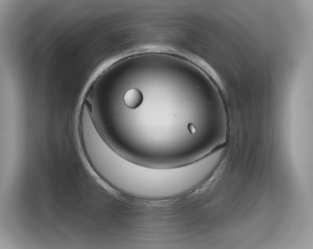 X0000115321381200911091148