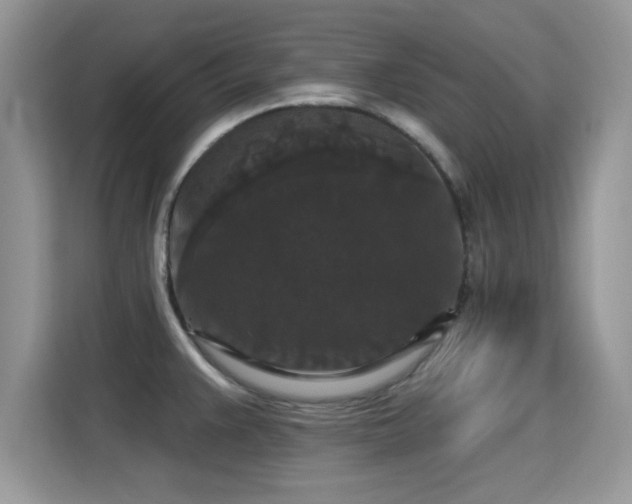 X0000115321383200911091148
