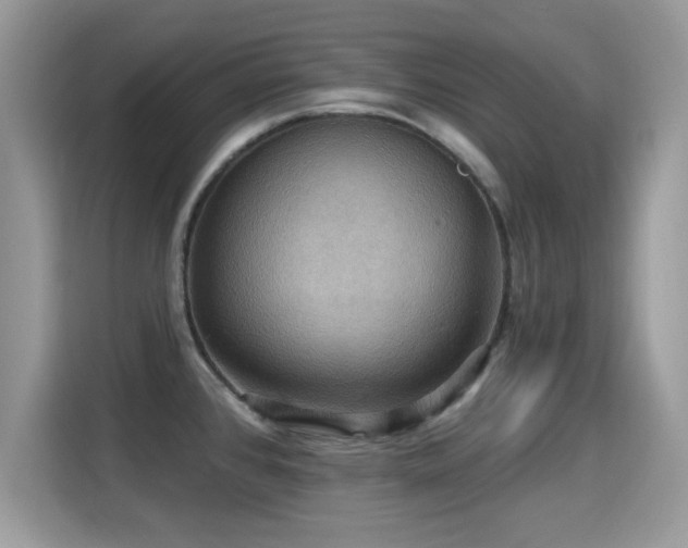 X0000115321384200911091148