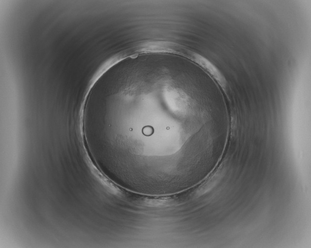 X0000115321386200911091148