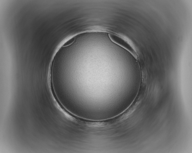 X0000115321387200911091148