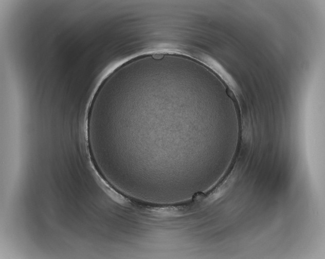 X0000115321388200911091148